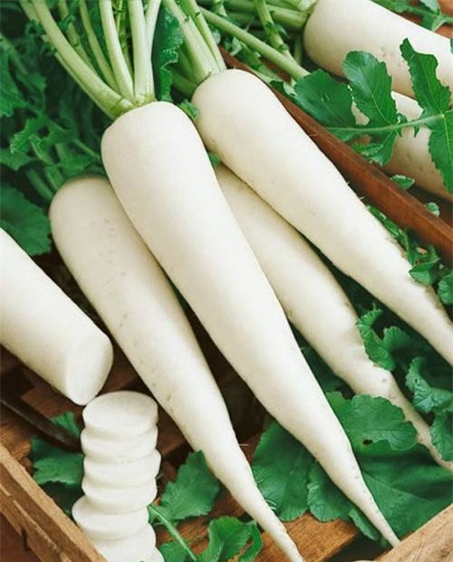 cách giảm mỡ bắp chân hiệu quả