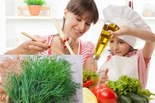 Tác dụng chữa bệnh thần kì của rau thì là