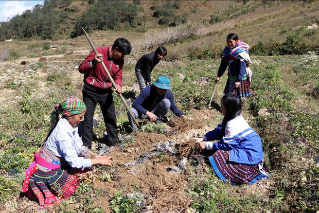 Thu nhập bình quân hộ nghèo tăng 2-3 lần sau 5 năm