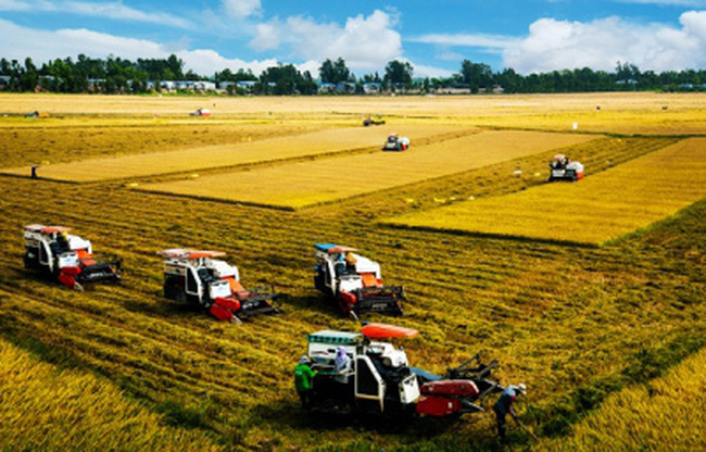 "Nhiều hợp tác xã có doanh thu hàng trăm tỷ đồng, đóng thuế không kém DN lớn"