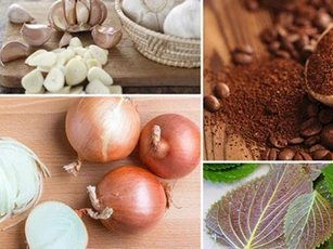 Tận dụng những vật thường có trong bếp, chị em nội trợ đuổi ngay được lũ côn trùng khó chịu mà không tốn một đồng