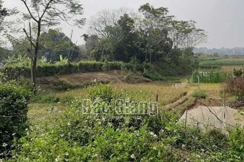 Bắc Giang: Đôi nam nữ tử vong trong chòi trông cá, nghi do mâu thuẫn tình cảm