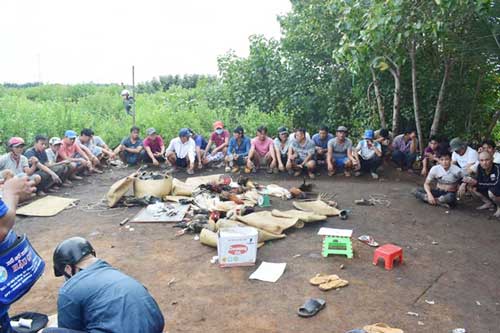 Sóc Trăng: Bắt quả tang 37 đối tượng đá gà ăn tiền