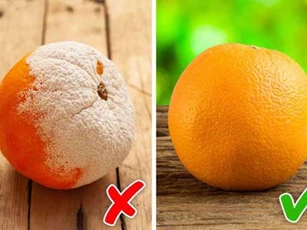 4 thực phẩm chứa aflatoxin gây ung thư số 1 thế giới, nhưng chúng ta vẫn sử dụng mỗi ngày