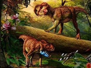 Khủng long mũi vẹt, miệng rìu