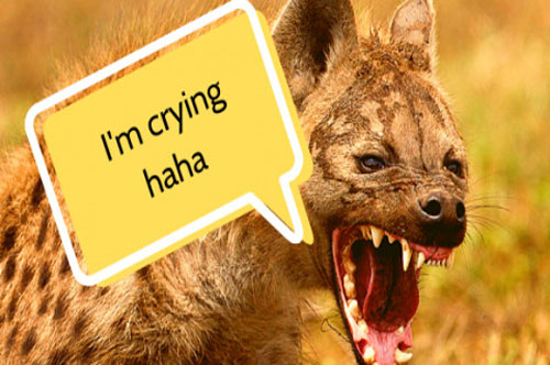 CLIP: Giải mã nụ cười 'giòn giã' của loài linh cẩu đốm