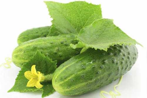 9 tác hại của dưa leo mà bạn chưa từng biết