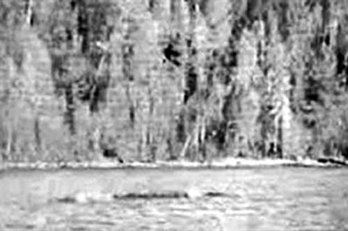 Thực hư về quái vật hồ Kanasi nổi tiếng ở Tân Cương