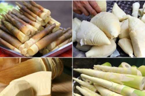 Nuôi con nhỏ mẹ nên tránh xa những loại thực phẩm này kẻo mất sữa