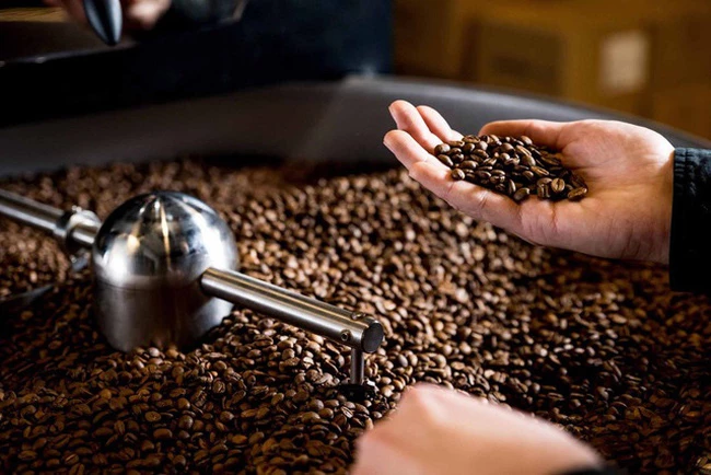 Thị trường xuất khẩu cà phê Việt Nam được dự báo sẽ đạt mức tăng trưởng trong những tháng cuối năm. (Ảnh: Dân trí)