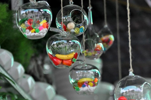 Cách trồng cây không khí cho căn phòng tươi xinh