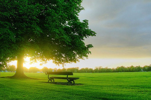 Bí quyết của cụ bà sống lâu nhất thế giới: Cả đời chỉ kiên trì làm 2 điều đơn giản