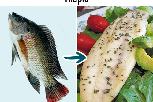 9 loại cá không nên ăn nếu muốn có sức khỏe tốt