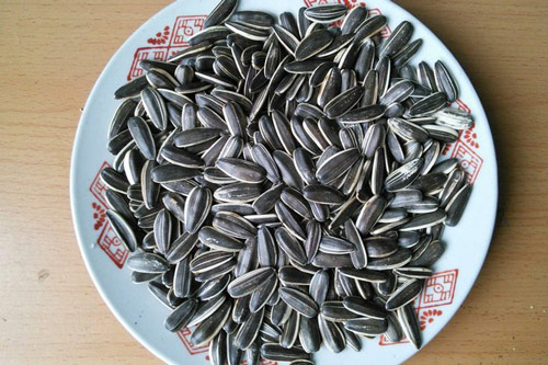 Nguy hại khôn lường từ hạt hướng dương
