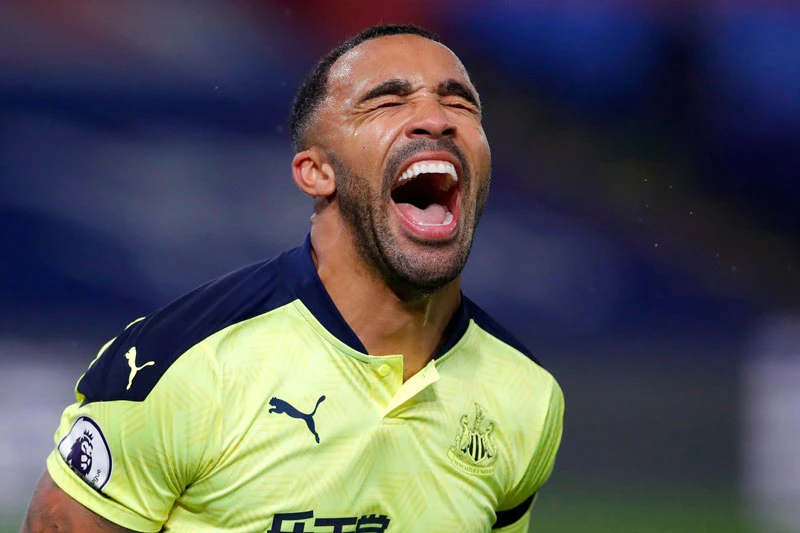 Tiền đạo: Callum Wilson (Newcastle).