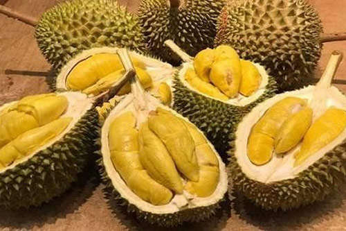 Những người này chớ dại ăn sầu riêng nếu không sẽ nguy hiểm đến tính mạng