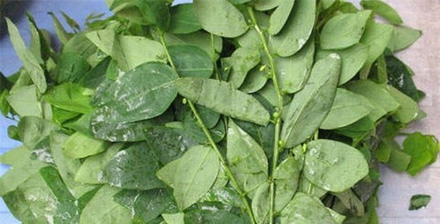 tac-dung-lam-dep-cua-rau-ngot-co-the-ban-chua-biet-giadinhvietnam.com 1
