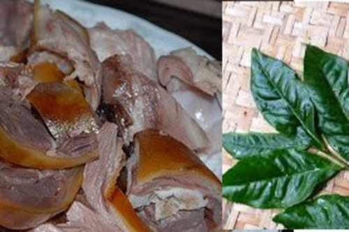 Tại sao sau khi ăn thịt chó không nên uống nước chè?