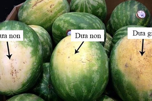 Dưa hấu bán tràn lan, cần biết mẹo chọn này để tránh 'rước họa vào thân’