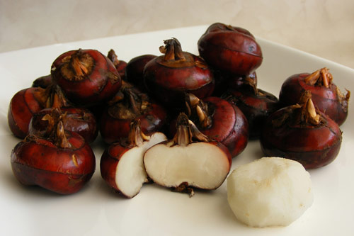 Công dụng trị bệnh đa năng từ củ mã thầy