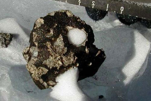 Sự sống ở Trái Đất bắt nguồn từ mưa thiên thạch?