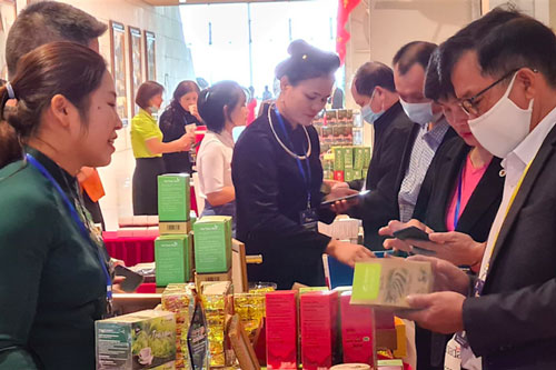 'Con đường' đưa nông sản thoát cảnh được mùa - mất giá