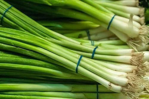 Chỉ các mẹ cách bảo quản hành lá trong tủ lạnh tươi xanh cả tuần, không sợ héo hỏng