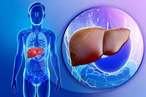 Những thực phẩm người viêm gan tuyệt đối không nên ăn