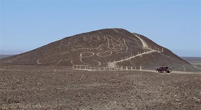 Hình con mèo trên sườn núi ở Peru. Ảnh: EPA.