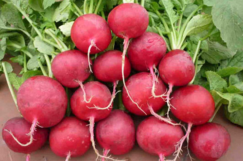 9 lợi ích phòng trị bệnh hiệu quả của củ dền