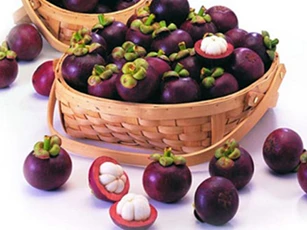 Lợi ích chữa bệnh bất ngờ của măng cụt