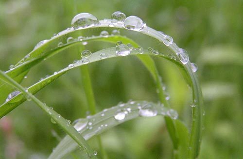 Nước từ tuyết và mưa thoát đi đâu?