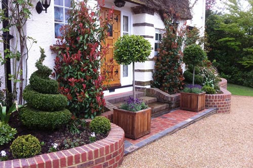 Những vị trí trong nhà trồng cây phong thủy dễ hút tài lộc nhất