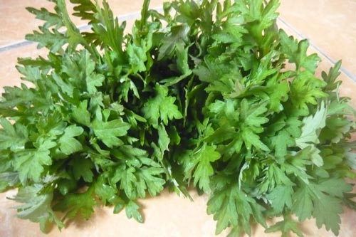 Mẹo chữa đau bụng kinh đơn giản từ ngải cứu