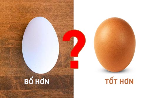 Không phải trứng gà, đây mới là loại trứng bạn nên lựa chọn ăn mỗi ngày cực kỳ bổ dưỡng