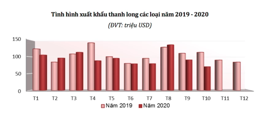 Trong 11 tháng năm 2020, xuất khẩu thanh long các loại ước đạt 1,08 tỷ USD, giảm 10,2% so với cùng kỳ năm 2019.