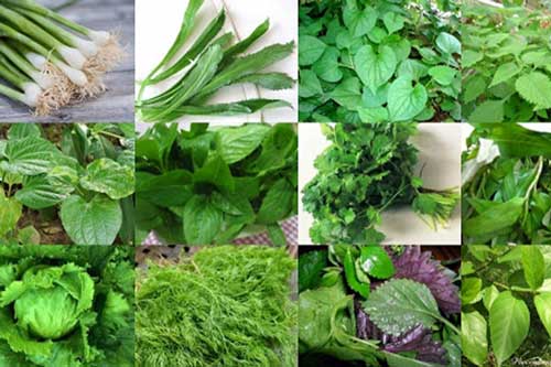 Xúc tiến xuất khẩu: Một số ngành hàng có thế mạnh bị lãng quên?