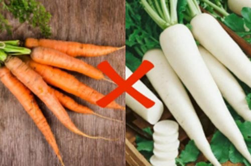 Củ cải ngon bổ nhưng rất kỵ 5 loại thực phẩm, đặc biệt là món số 2