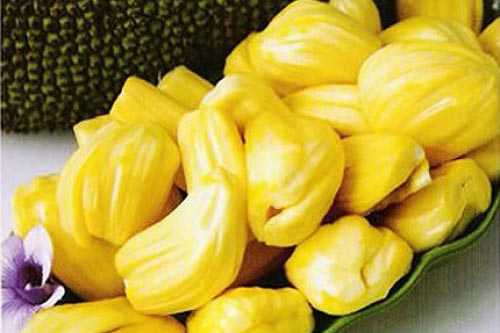 Những bài thuốc dân gian từ mít