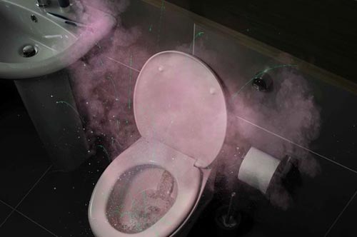 Bạn đã biết đến hệ lụy kinh hoàng của việc giật nước bồn vệ sinh mà không đậy nắp?