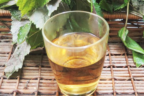 Bất ngờ với công dụng làm đẹp thần kỳ của nước lá tía tô