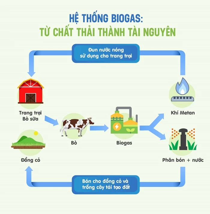 Mô hình “kinh tế tuần hoàn” ứng dụng trong hệ thống Biogas và vòng tròn quản lý nguồn đất bền vững tại các trang trại bò sữa Vinamilk.