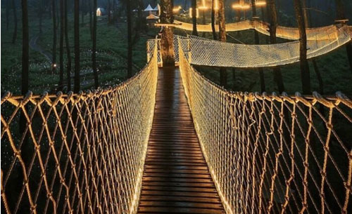 Cây cầu 'phát ánh sáng' kỳ diệu trong khu rừng Indonesia
