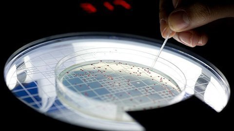 Hồi sinh vi khuẩn 500 triệu năm tuổi