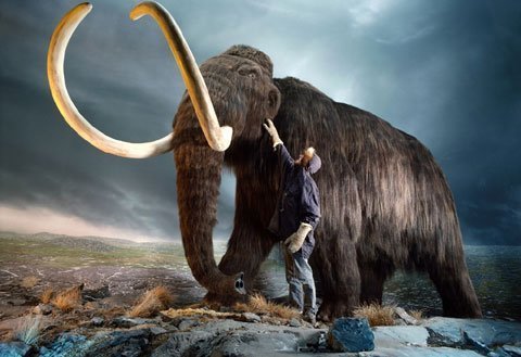 Tranh cãi về chuyện hồi sinh các loài đã tuyệt chủng