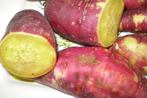 Những điều cấm kỵ khi ăn khoai lang