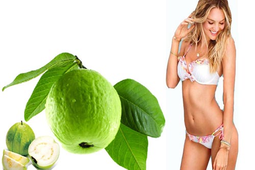 Bí quyết chống lão hóa, điều trị trứng cá từ lá ổi