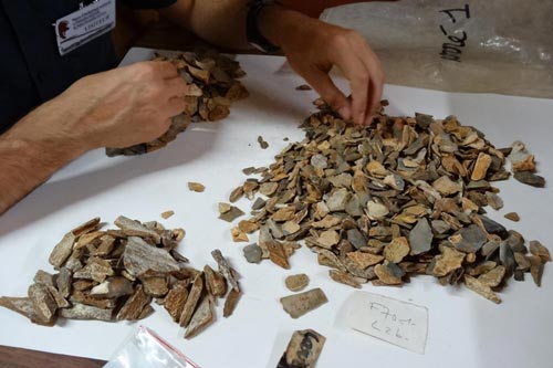 "Mở cửa" mộ cổ 41.000 năm, phát hiện hài cốt là... một loài người khác