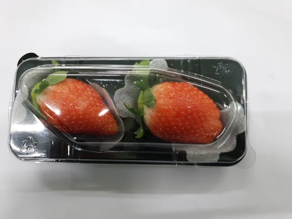 King's Berry là giống dâu tây Hàn Quốc cao cấp với kích thước và chất lượng vượt trội.