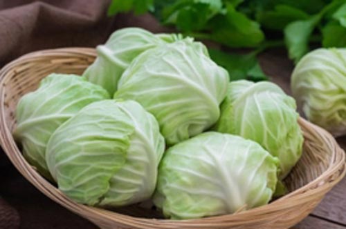 Thấy bắp cải có 3 biểu hiện này tuyệt đối không được ăn